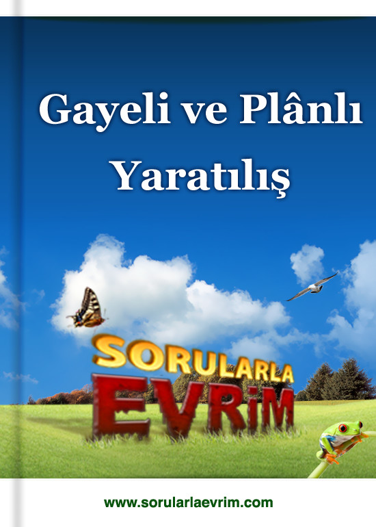 Sorularla Evrim - Gayeli ve Plânlı Yaratılış