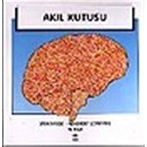 Akil Kutusu