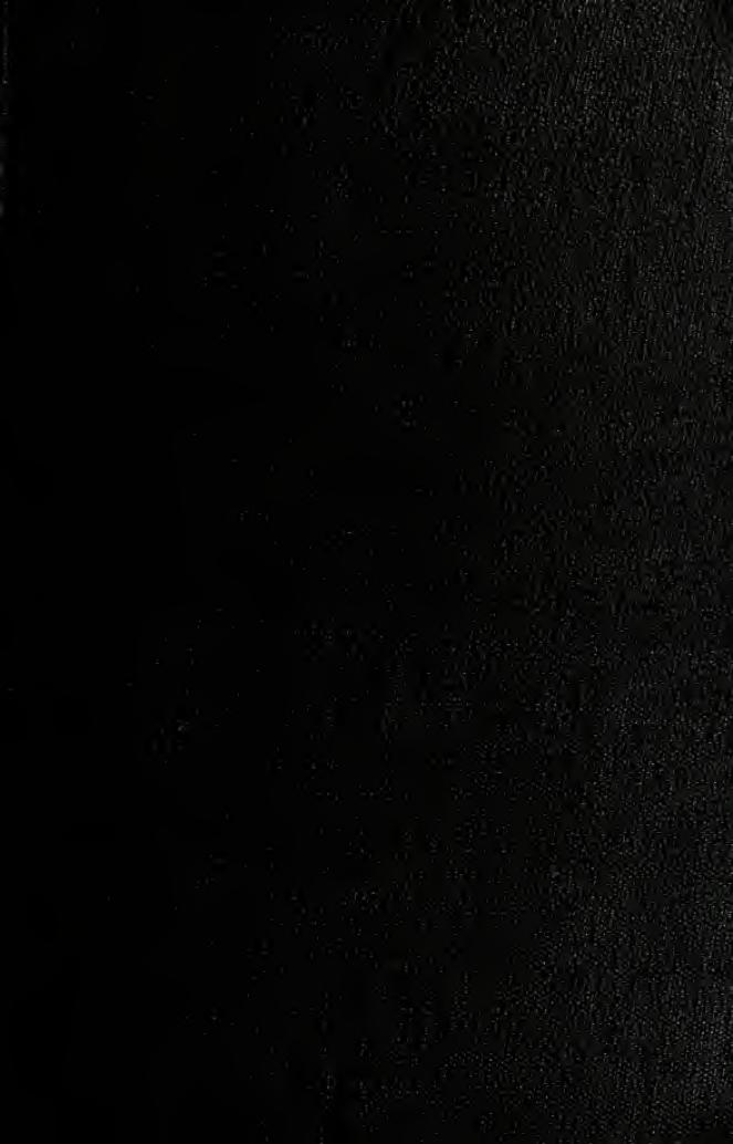 Bir sefleniñ asbili