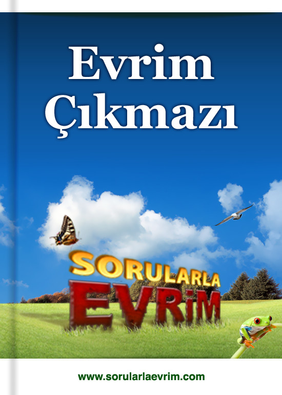 Sorularla Evrim - Evrim Çıkmazı