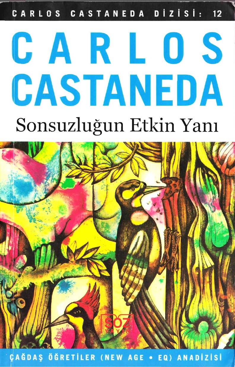 Carlos Castaneda-Sonsuzluğun Etkin Yanı 12