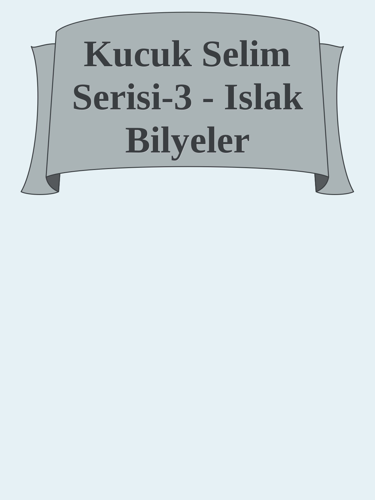 Kucuk Selim Serisi-3 - Islak Bilyeler