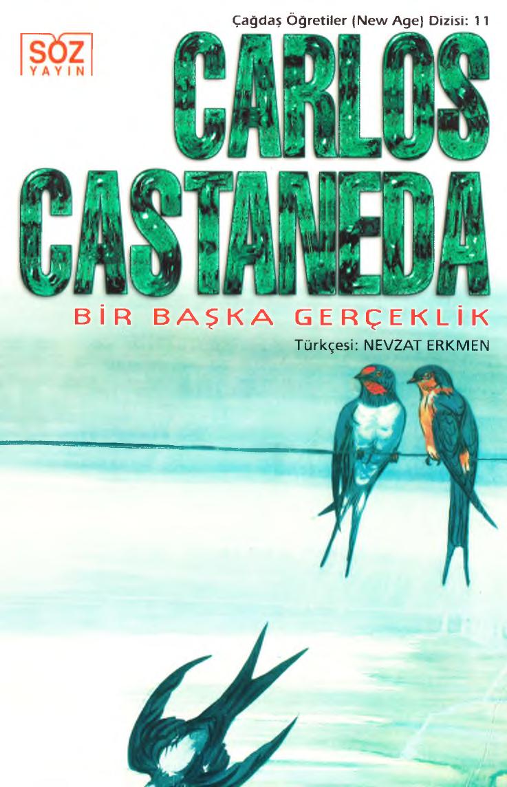 Bir Başka Gerçeklik (cs) 2