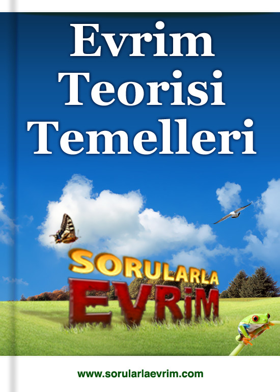 Sorularla Evrim - Evrim Teorisi Temelleri