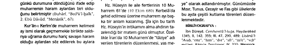 İslam Ansiklopedisi Cilt 31
