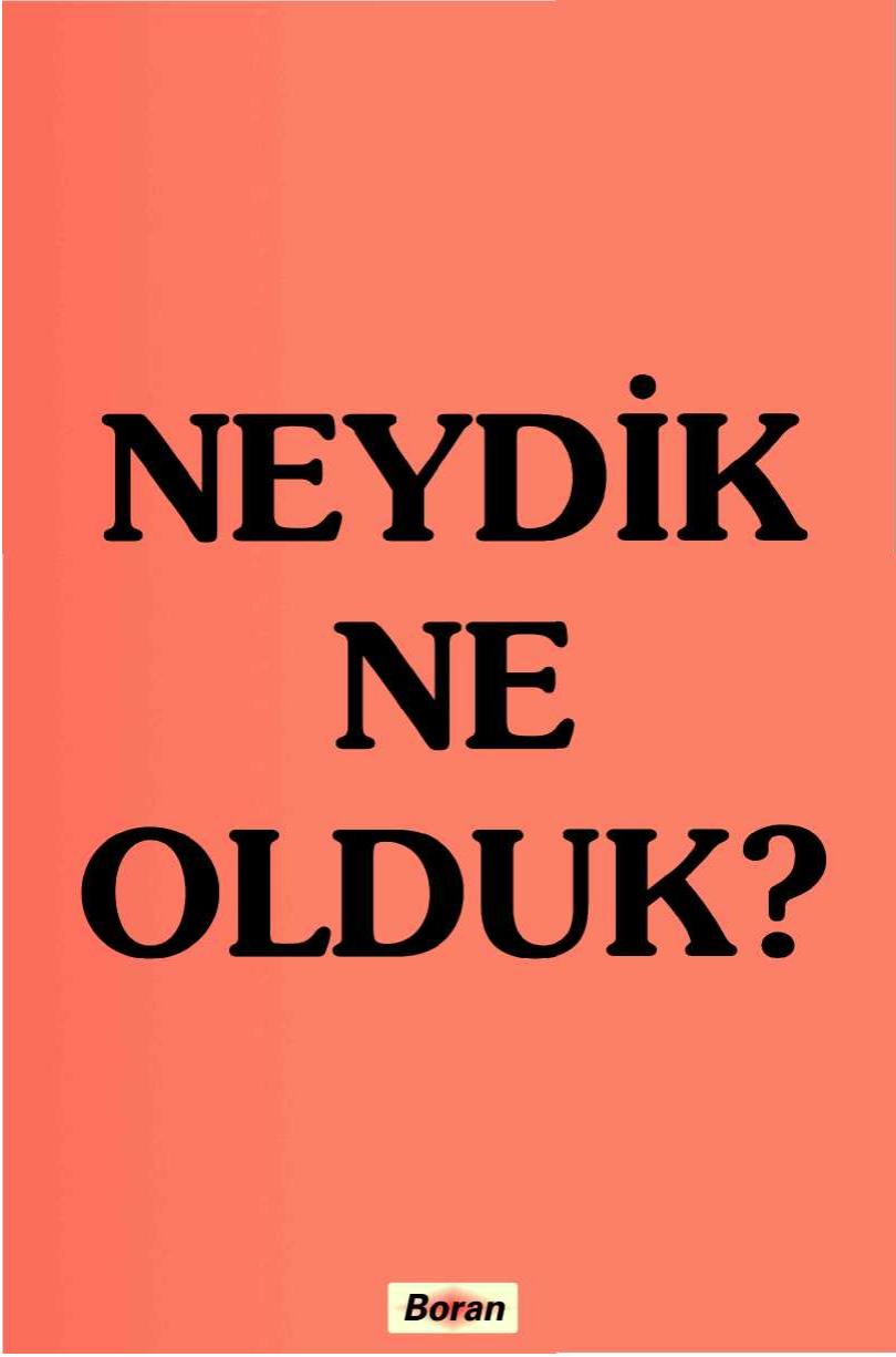 Microsoft Word - NeydikNeOlduk.doc