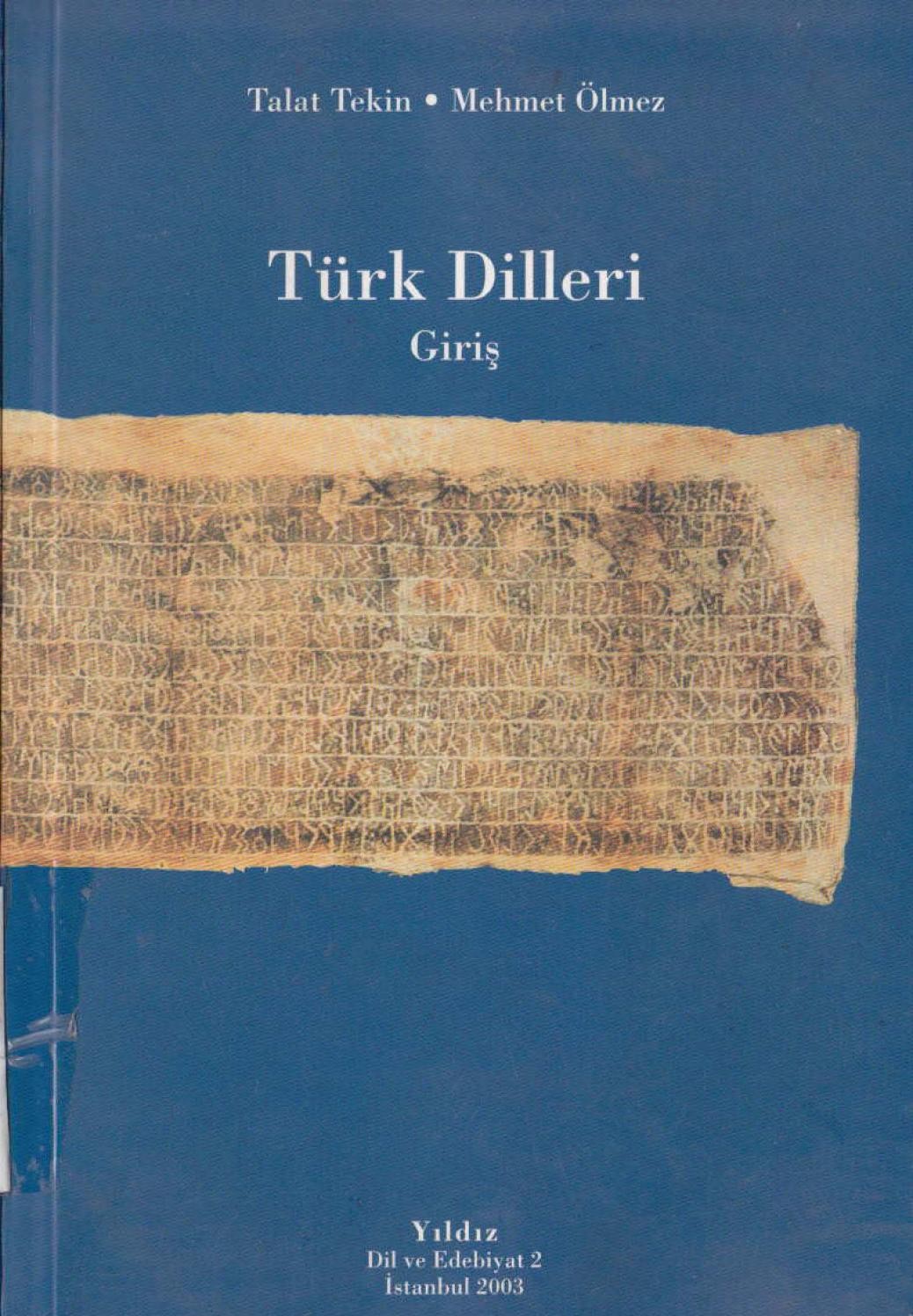 Türk Dilleri : Giriş