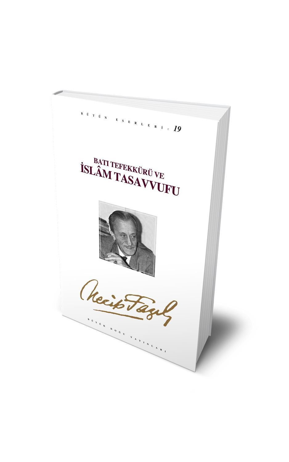 Batı tefekkürü ve İslam tasavvufu